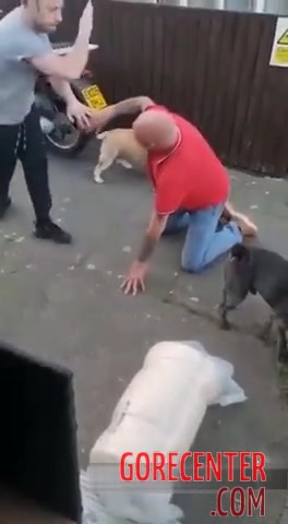 Aggressive neighbor got what he deserved • GoreCenter