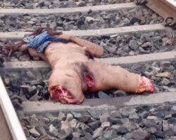Indian female crushed by train