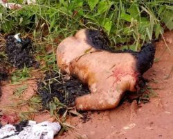 Young Brazilian girl murdered and set on fire