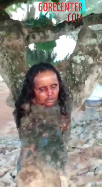 A woman’s head on a tree • GoreCenter ▶