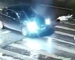 Chinese woman hit by a car at a pedestrian crossing