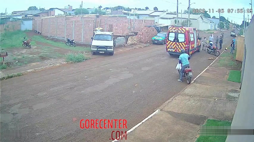 Dog caused a fatal accident • GoreCenter