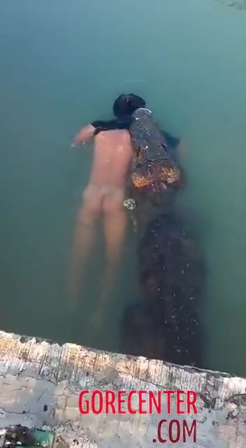 Giant crocodile and its prey • GoreCenter ▶