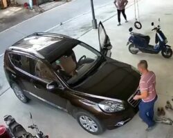 Man pinned by a car against a wall