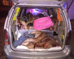 Car full of dismembered people