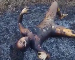 Charred body of a young girl was found