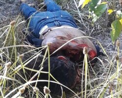 Headless female body was found in forest