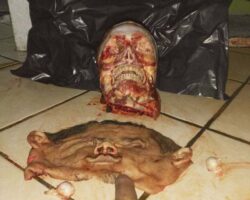 Man beheaded and skinned by a Mexican cartel