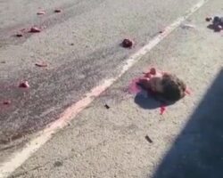 Two women ended up beheaded after traffic accident