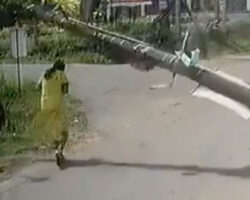 Falling pole kills woman