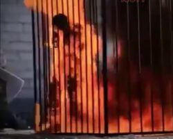 Burned alive in cage