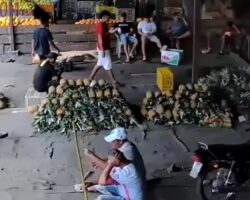 Fruit seller shot dead