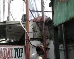 Worker fried on live wire