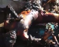 Charred body being scraped with stick