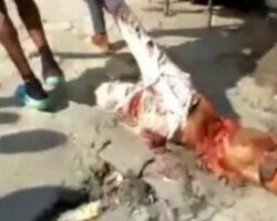 Woman butchered by mob