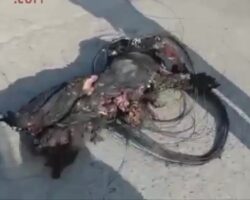 Burnt biker in Haiti