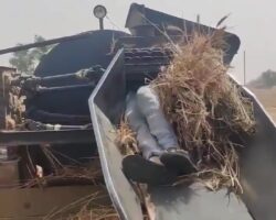 Farmer crushed by farm equipment