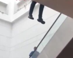 Mall suicide jumper didn't survive