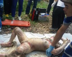 Thai hooker murder