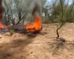 Cartel members burned rivals alive