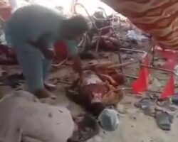 Suicide bomber killed 44 people and injured nearly 200