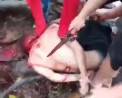 Tied man gets beaten and beheaded