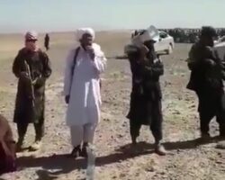 Afghan soldiers executed by Taliban