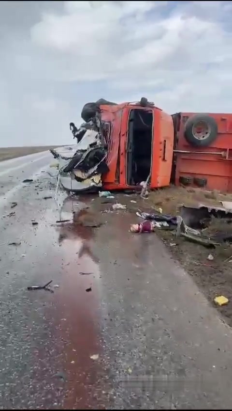 Highway filled with body parts • GoreCenter
