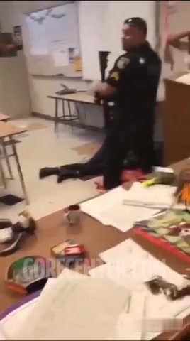 Parkland high school shooting • GoreCenter