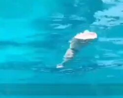 Severed female leg floating in water
