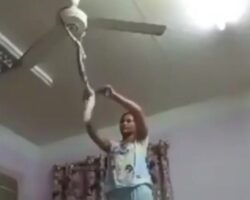 Young woman hanged herself from ceiling fan during live stream