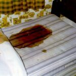 Amityville murders photo