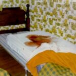 Amityville murders photo