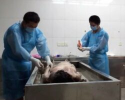 Bathing a woman in morgue