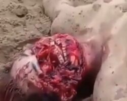 Faceless corpse discovered on beach