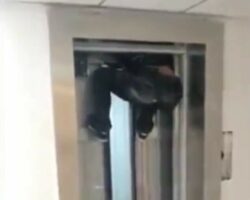 Guy crushed by elevator