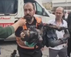 Palestinian child burnt to ashes