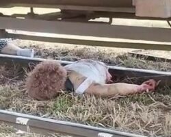 Woman cut in half by train