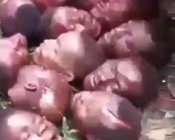 14 beheaded villagers