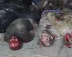 Fallen Ukrainian soldiers