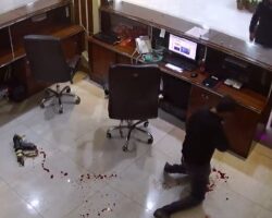Hotel security guard accidentally shoots receptionist