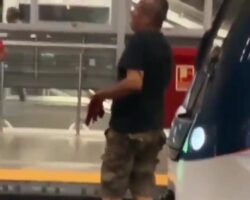 Man survives suicide attempt by jumping in front of train