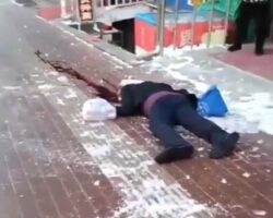 Random passerby killed by falling ice