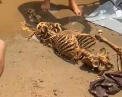 Skeleton pulled from ocean in front of people