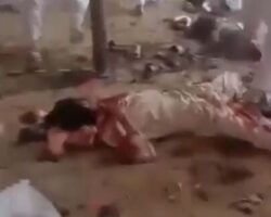 Terrorist attack in Pakistan kills 42
