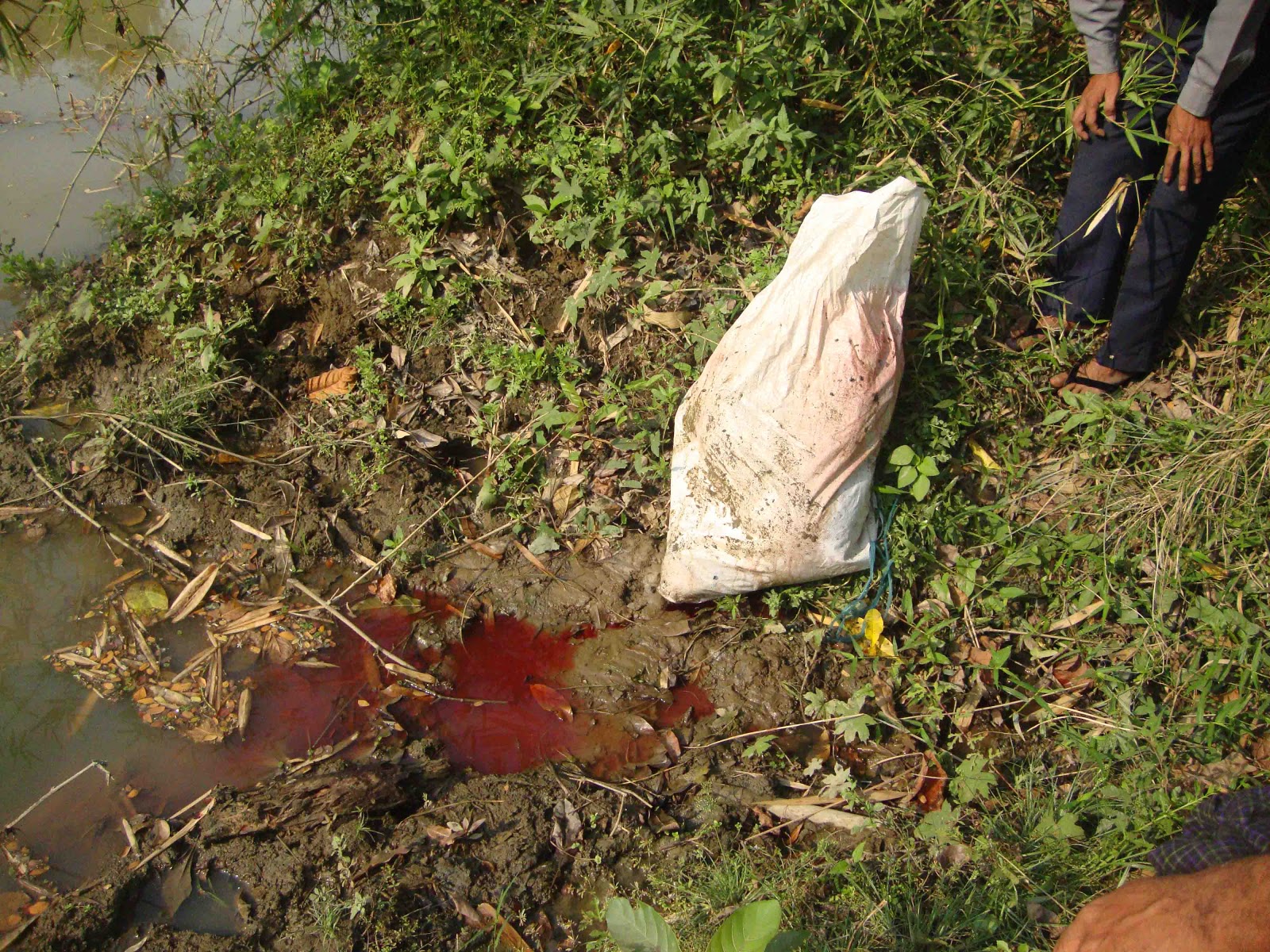 Woman was tied up, murdered and thrown into the river • GoreCenter