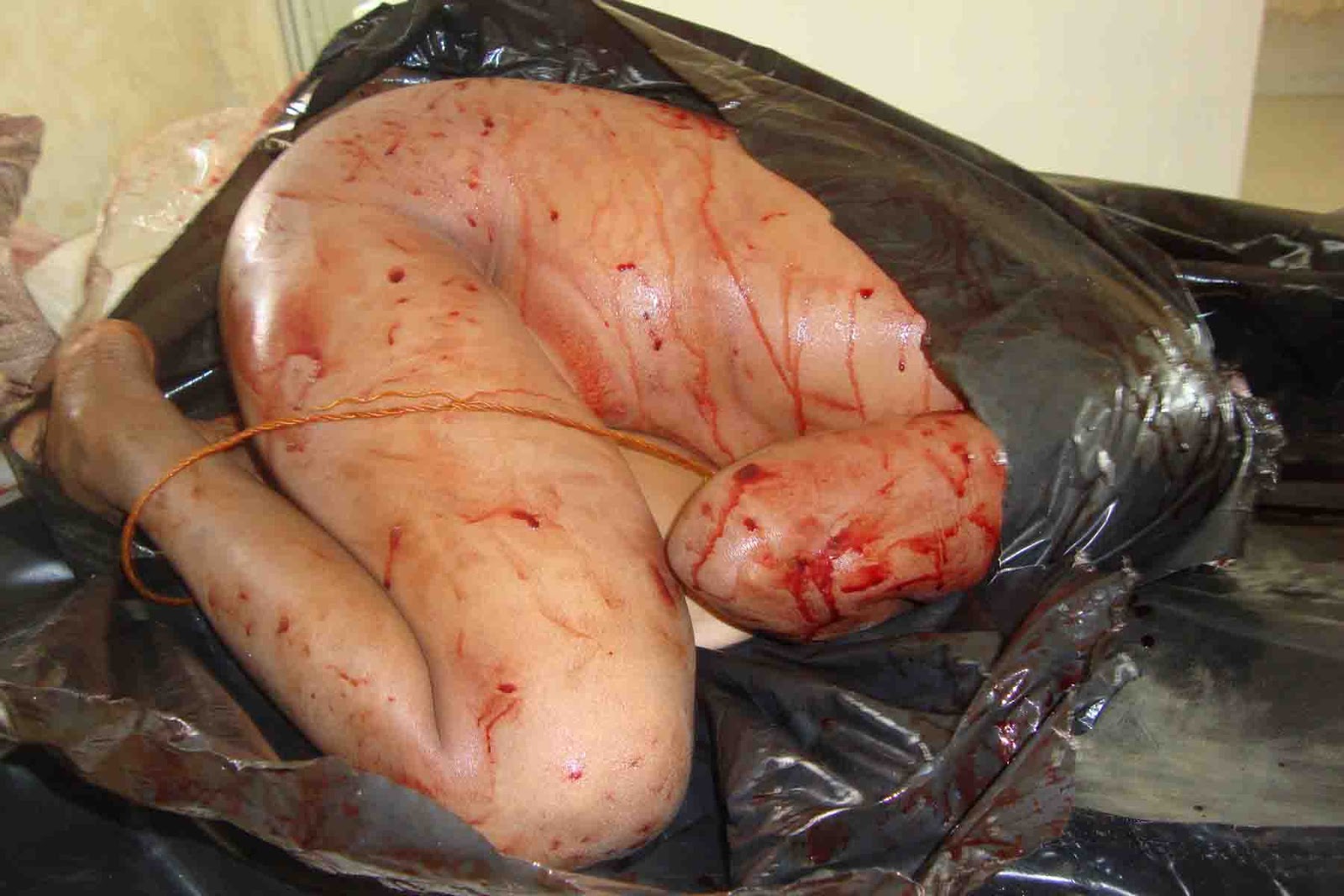 Woman was tied up, murdered and thrown into the river • GoreCenter
