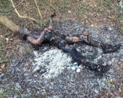 Man filmed himself committing suicide by burning himself in forest
