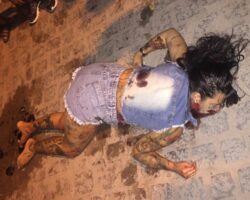 Woman shot dead during street celebrations