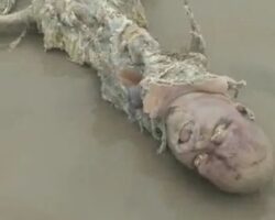 Decomposed remains of man washed ashore